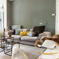 Mur gris derrière le canapé dans le salon
