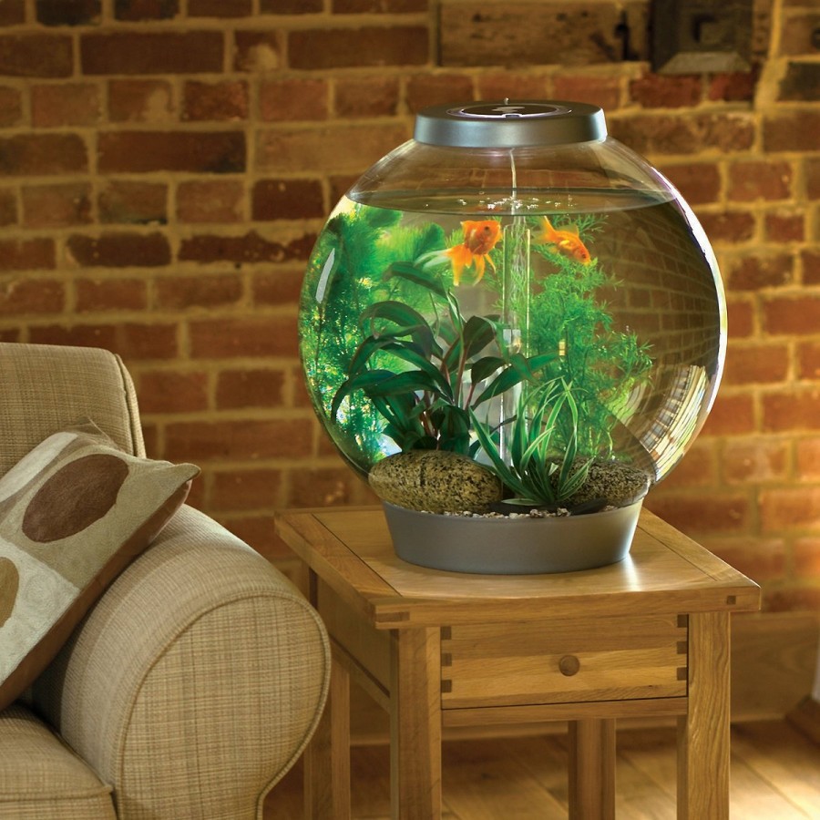 Acuario redondo en el interior de la sala de estar