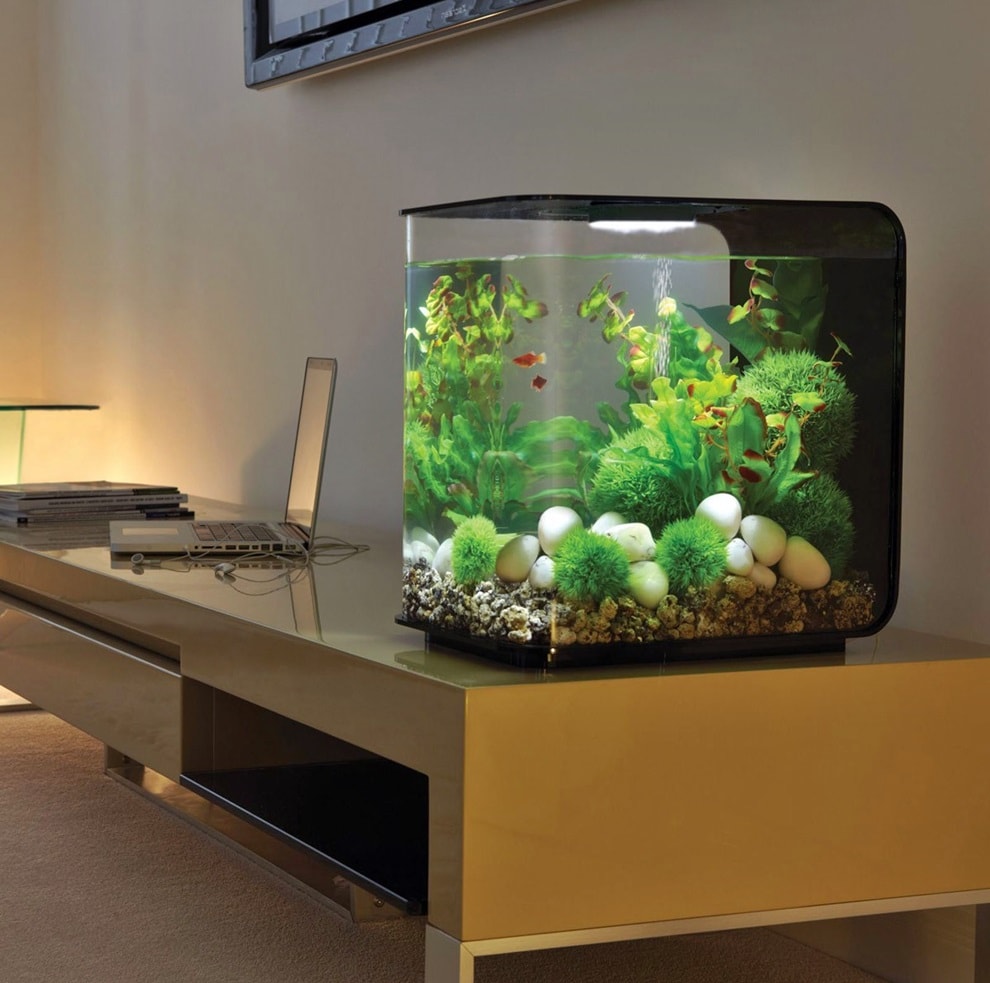 Pequeño acuario cuadrado en el escritorio