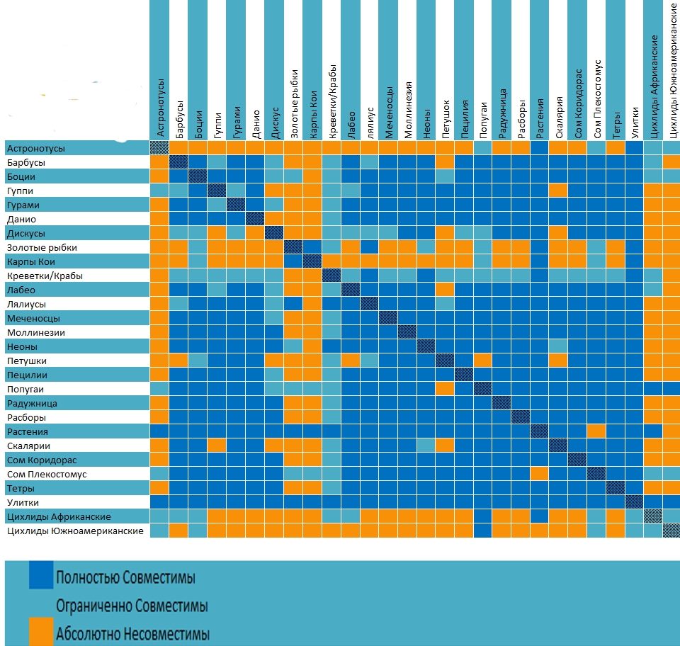 Tabla de compatibilidad para algunas especies de peces para el acuario.