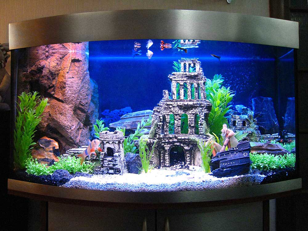 Acuario panorámico con mirilla convexa