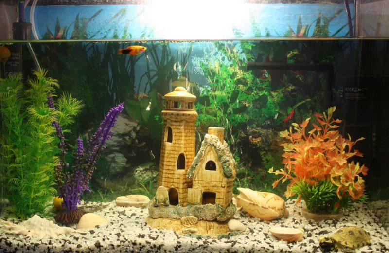 Castillo de cuento de hadas dentro del acuario