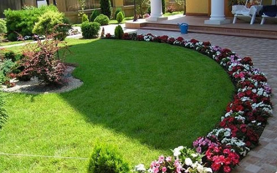 Décoration du bord de l'allée du jardin avec des pétunias