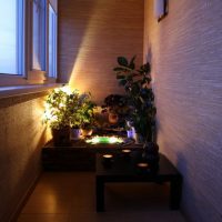 Coin faune sur le balcon d'un appartement en ville