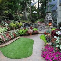 Plates-bandes de plantes vivaces en fleurs dans un chalet d'été