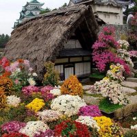 Cottage avec un toit de roseaux