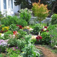 Aménagement paysager du jardin devant la maison de campagne