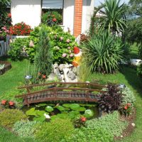 Pont en bois sur un étang de jardin