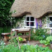Table en bois pour les repas en plein air