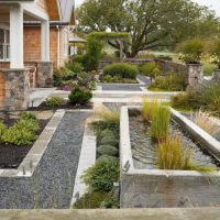 Étang avec des plantes dans le jardin devant une maison de campagne