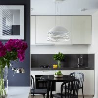 Cuisine noir et blanc dans un style moderne.