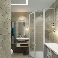 Intérieur d'une petite salle de bain avec douche