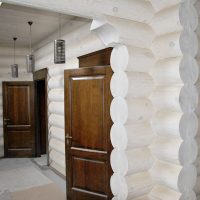 Puertas marrones sobre un fondo de troncos blancos