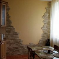 Pierre décorative sur le mur d'une cuisine dans une maison à panneaux