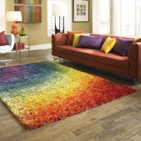 Toutes les couleurs de l'arc-en-ciel sur un tapis