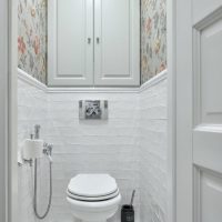 Conception de toilette étroite avec toilette