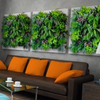 Peintures modulaires à partir de plantes vivantes