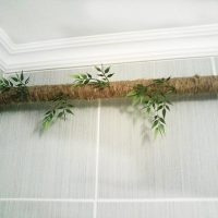 Branche vivante d'un tuyau de chauffage horizontal