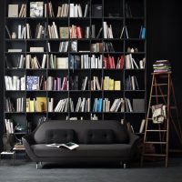 Collection de livres sur des étagères noires