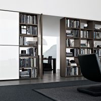 Bibliothèques de style moderne