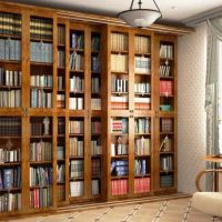 Bibliothèques avec portes le long du mur du salon