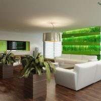 Chambre spacieuse avec des plantes vivantes