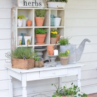 Rayonnage avec des plantes d'intérieur à l'intérieur de l'appartement