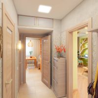 Design de hall d'entrée étroit dans un appartement de ville
