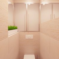 Conception de toilette écologique