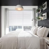 Chambre confortable avec des plantes vivantes