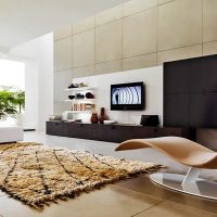 Salon minimaliste avec des plantes vivantes