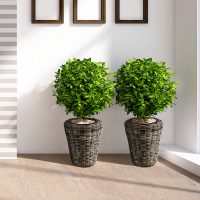 Pots en osier avec des plantes vivantes