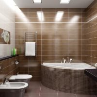 Baño de esquina de acrílico en el baño combinado