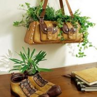 Cosas viejas como macetas para plantas de interior