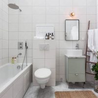 Plantes vertes dans la salle de bain