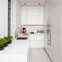 Cuisine minimaliste compacte