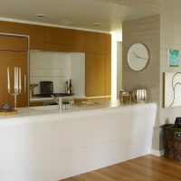 Comptoir de bar en acrylique dans la cuisine-salon