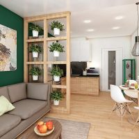 Partitionner avec des plantes d'intérieur comme séparateur d'espace